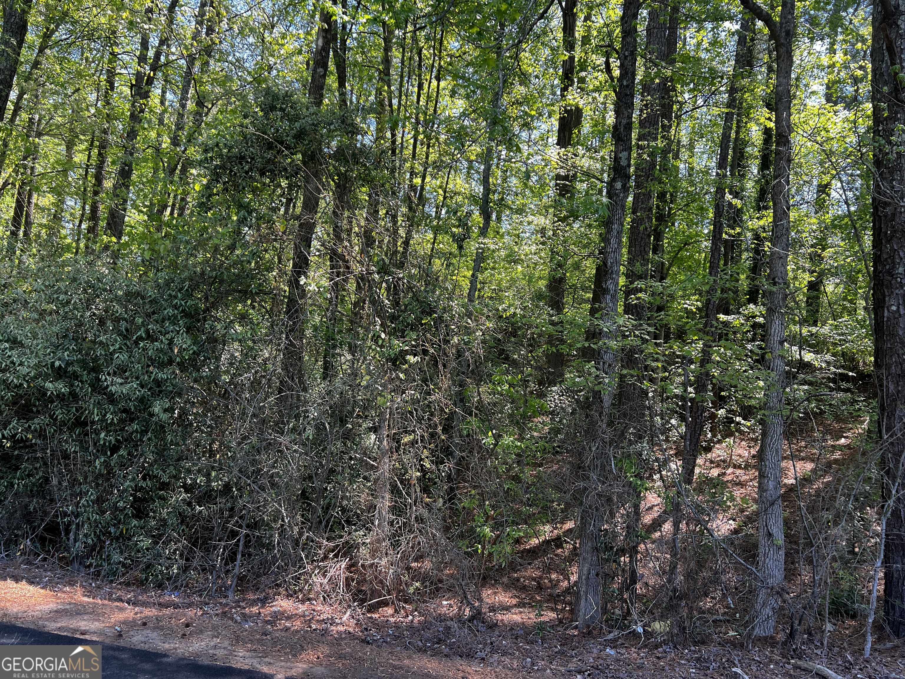 0 Wayside Road Rome GA 30161