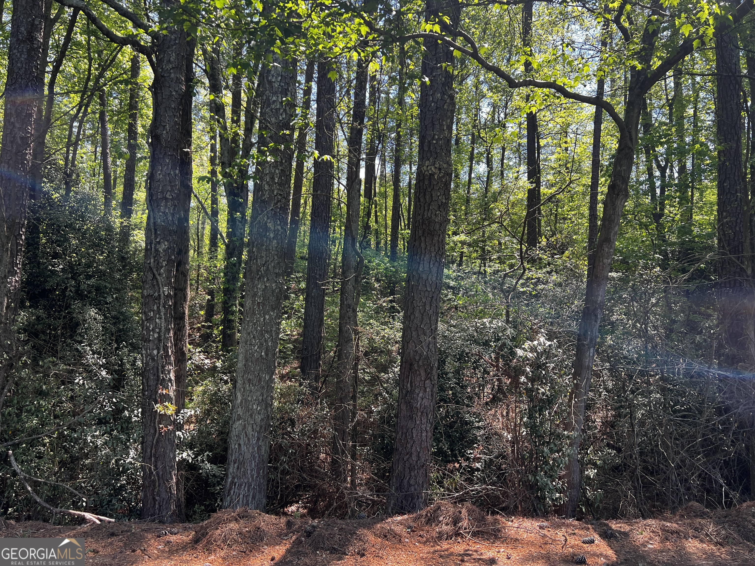0 Wayside Road Rome GA 30161