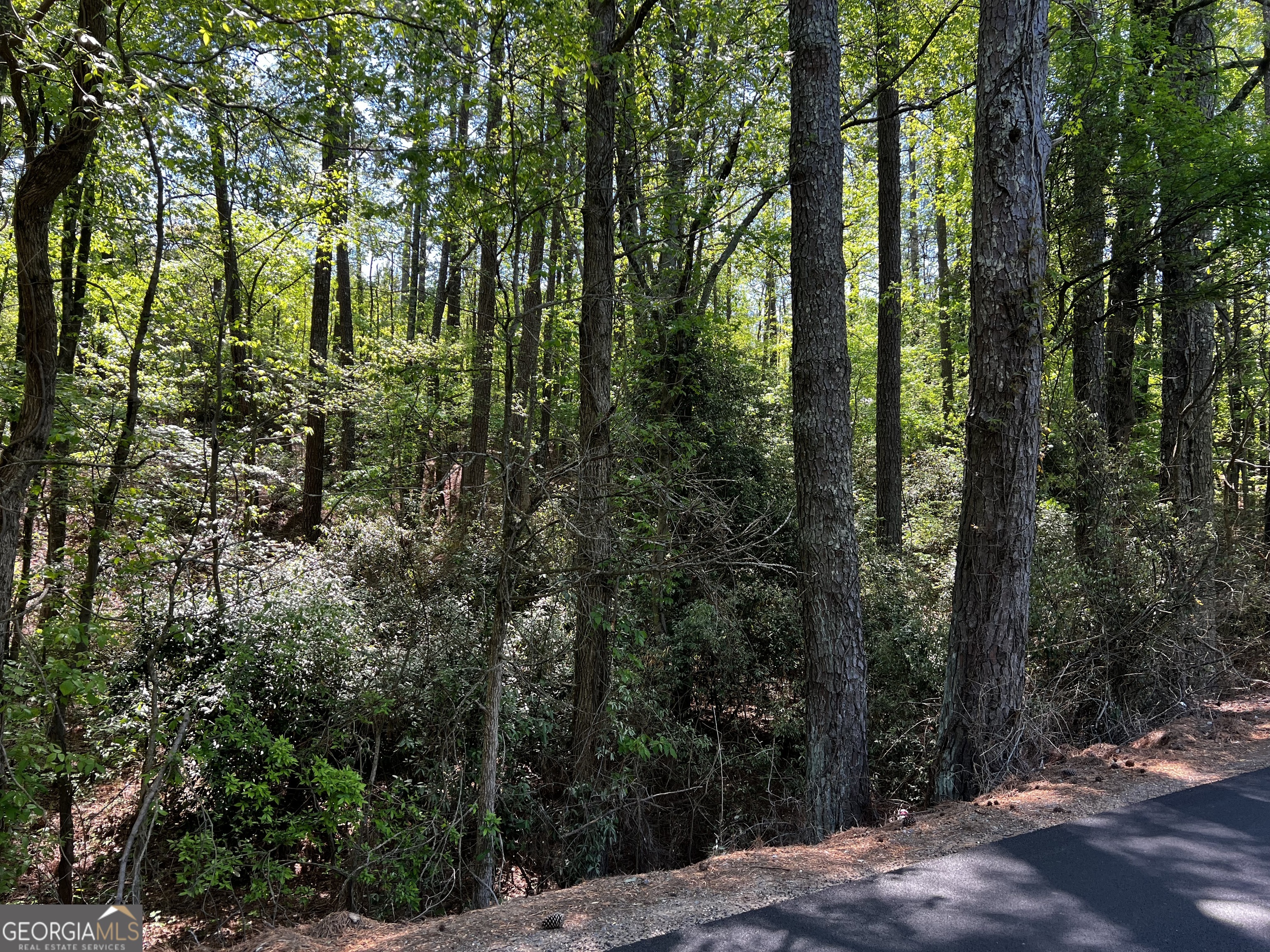 0 Wayside Road Rome GA 30161