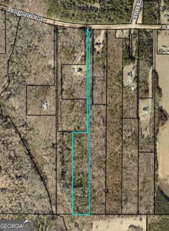 0 Flournoy Road Hawkinsville GA 31036