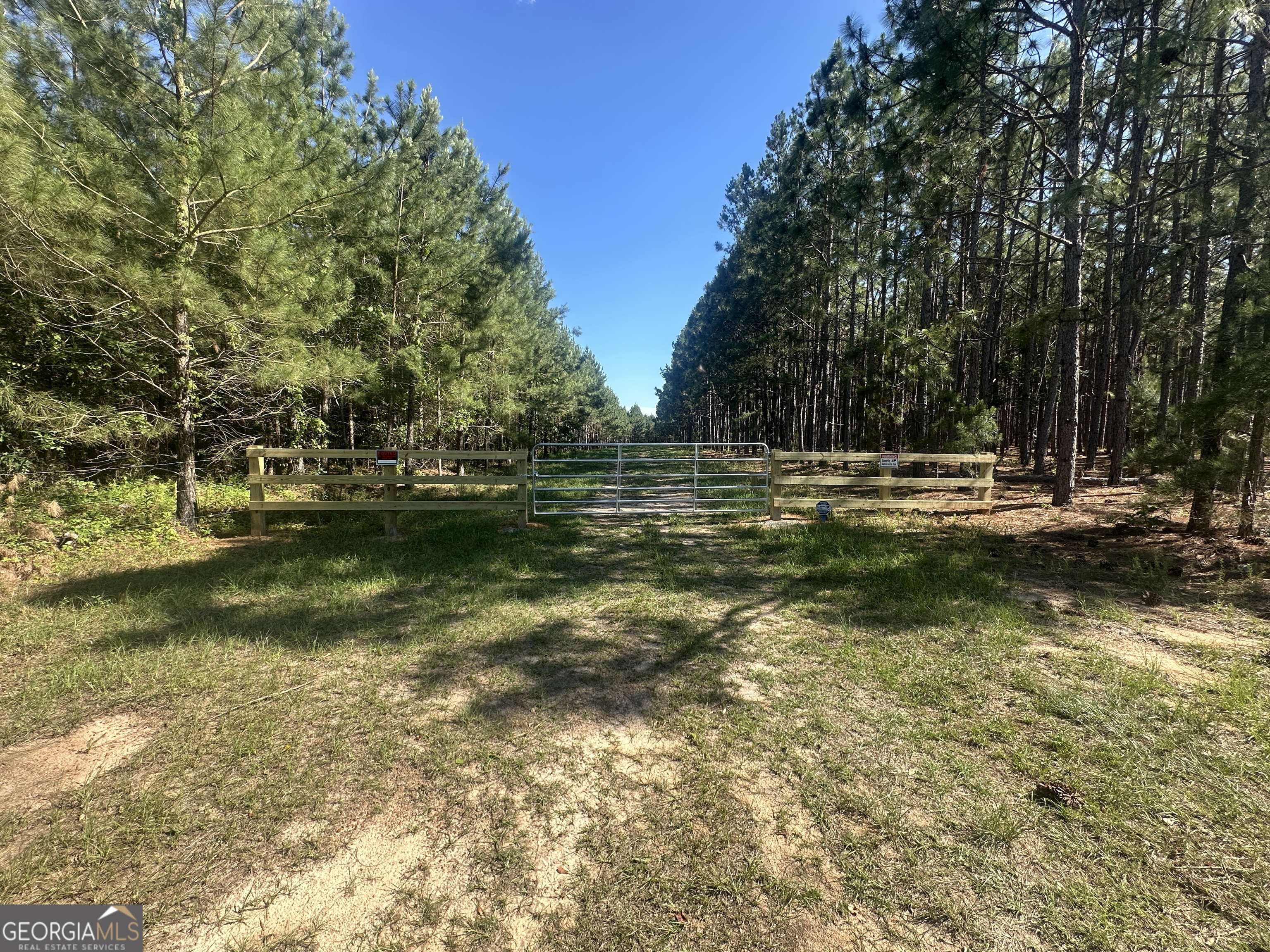 355 Dorsey Clark Road Sylvania GA 30467