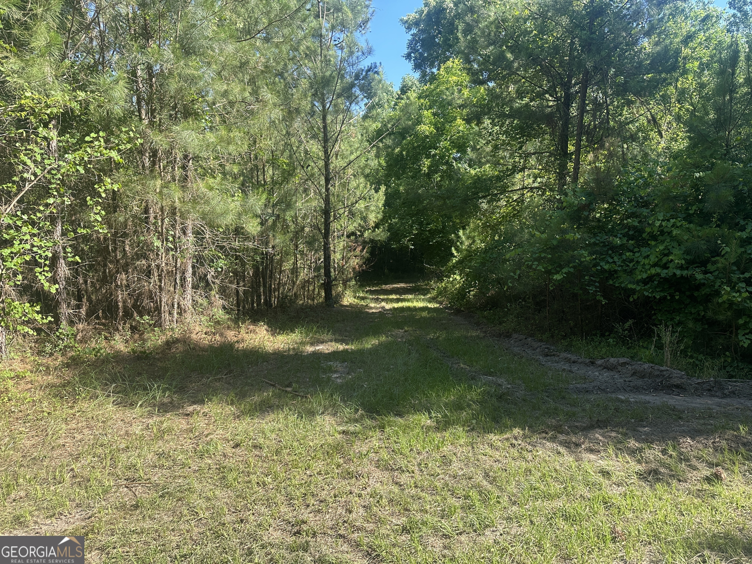355 Dorsey Clark Road Sylvania GA 30467