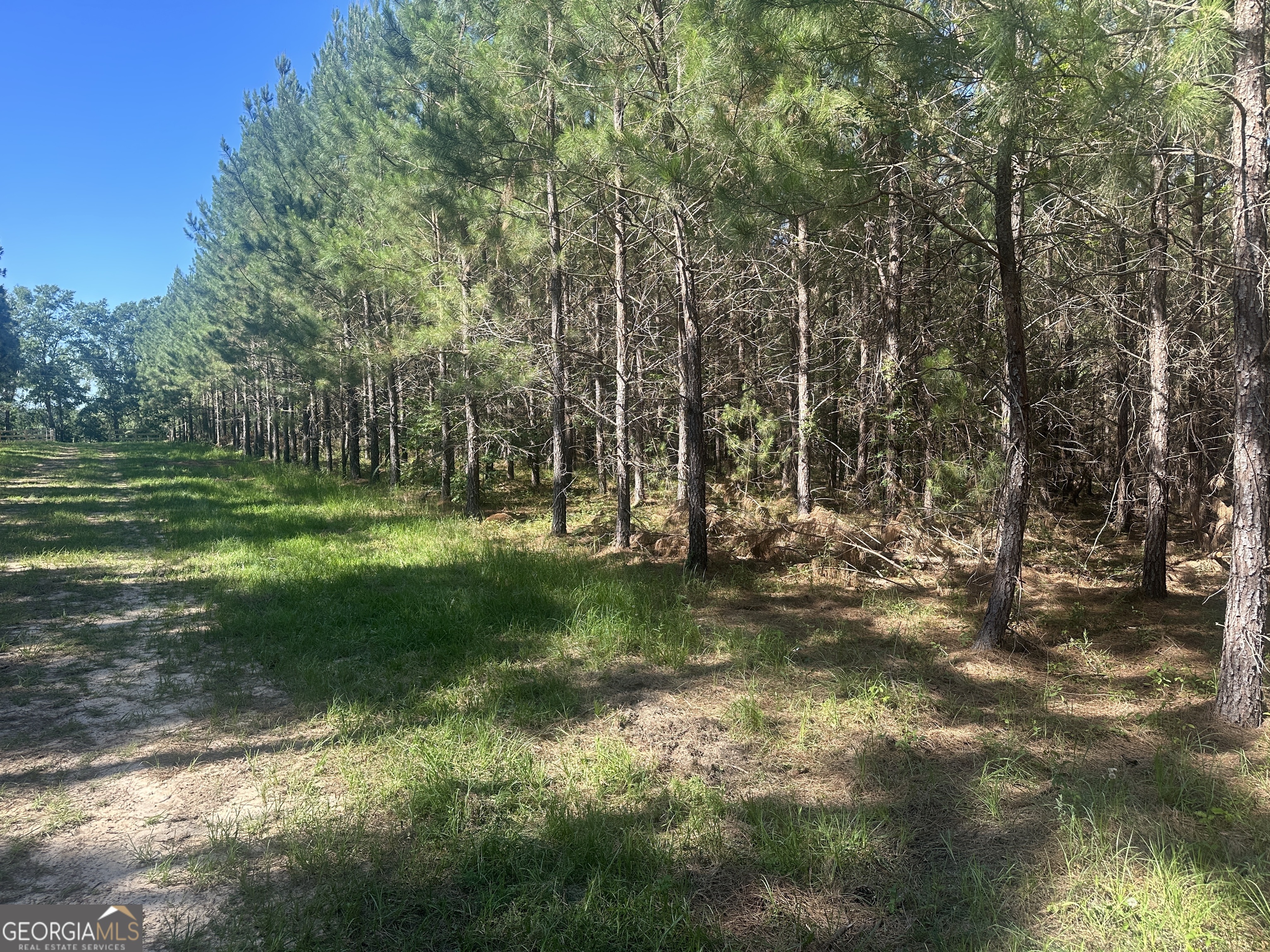 355 Dorsey Clark Road Sylvania GA 30467