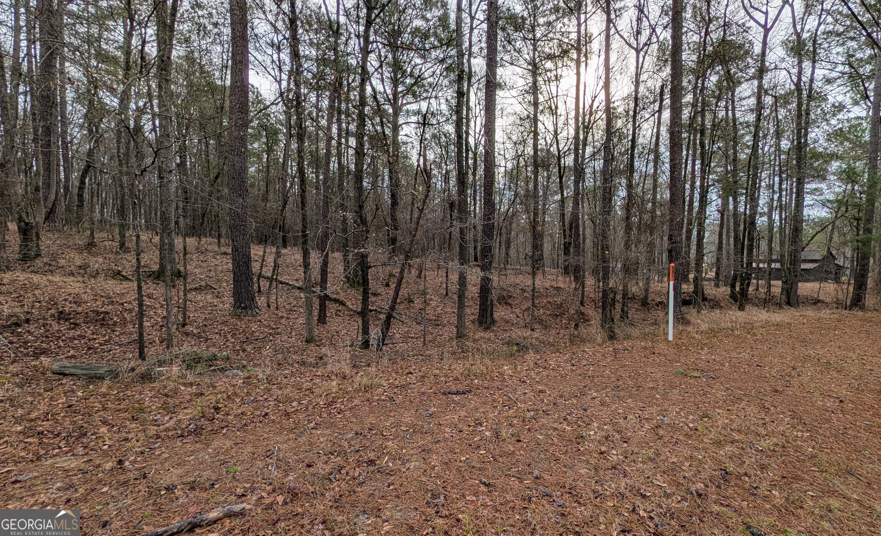 0 Highway 87 Macon GA 31210