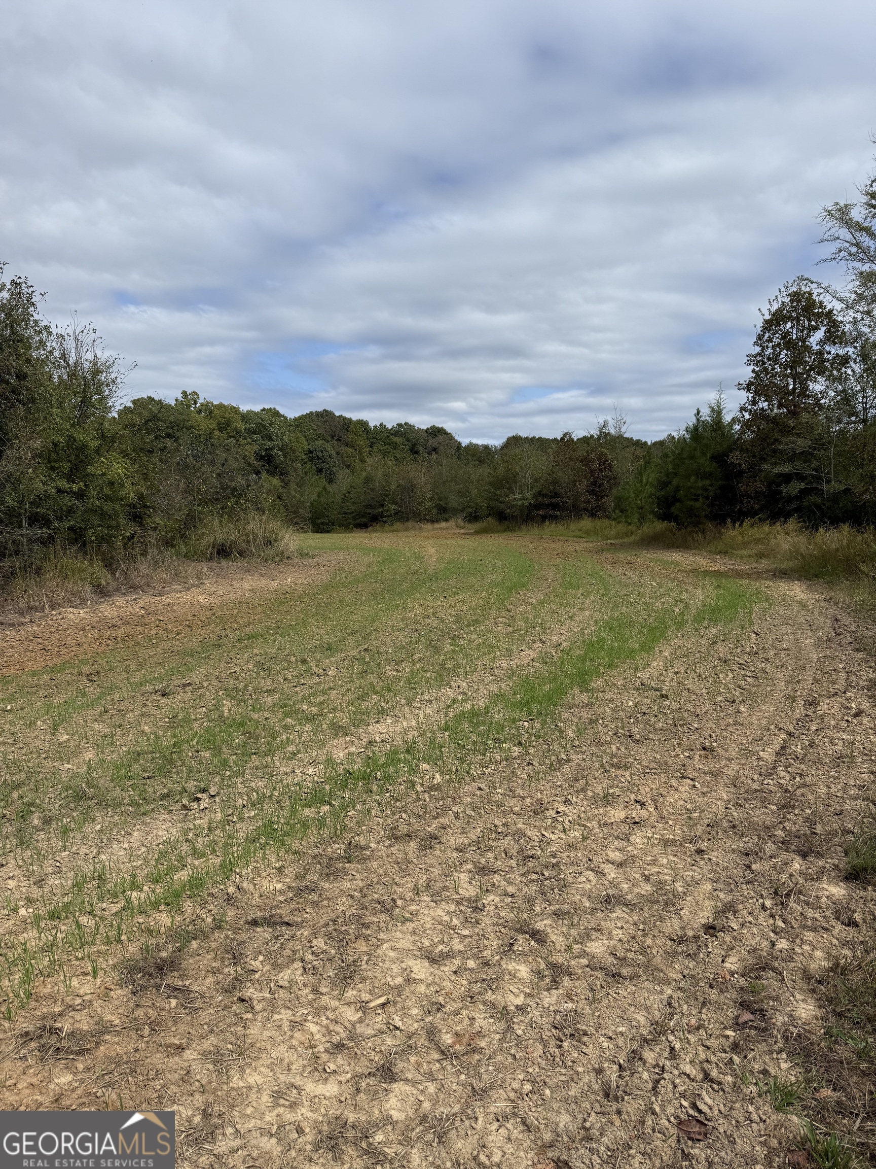 0 Thaxton Road Rayle GA 30660