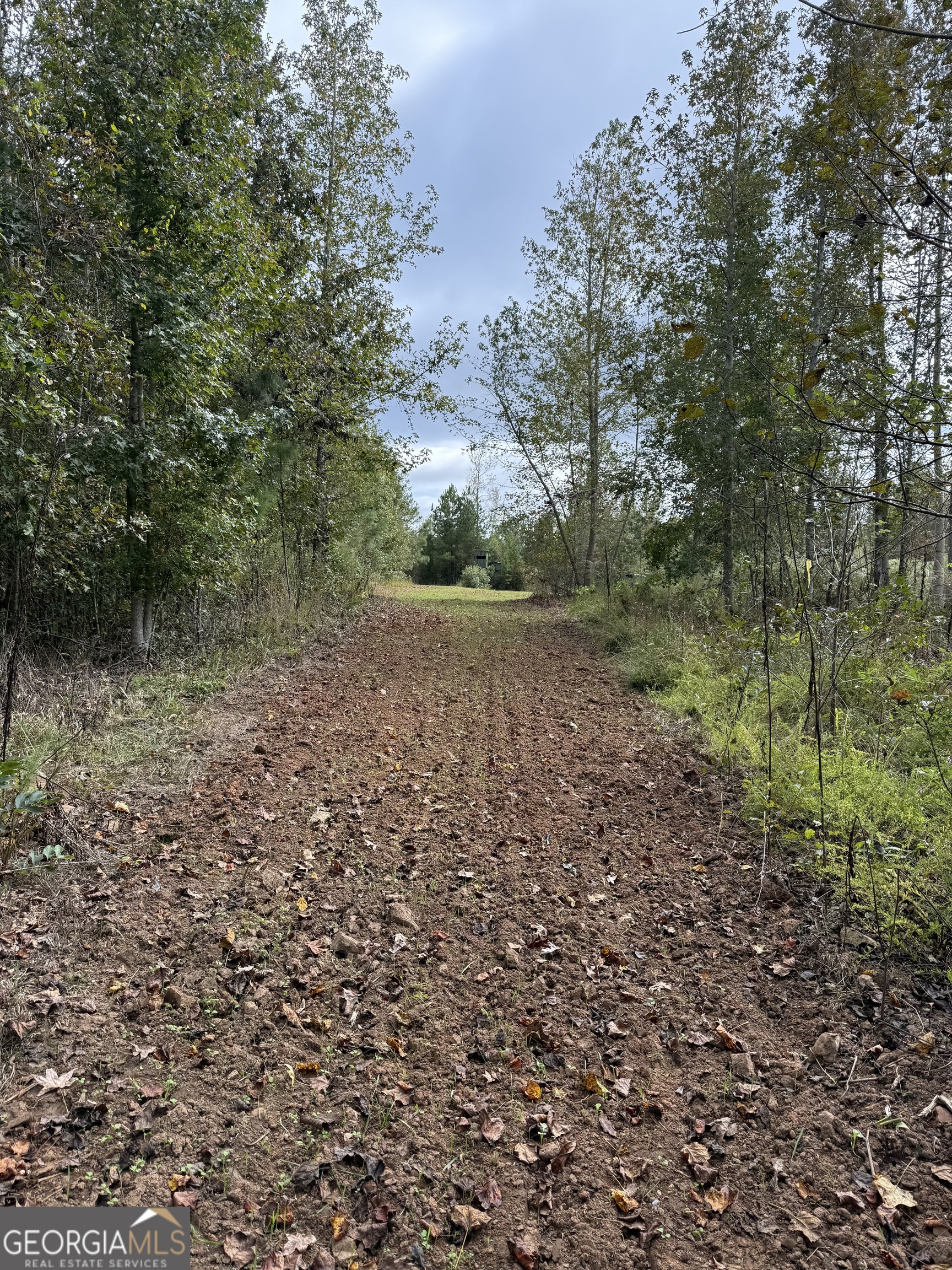 0 Thaxton Road Rayle GA 30660