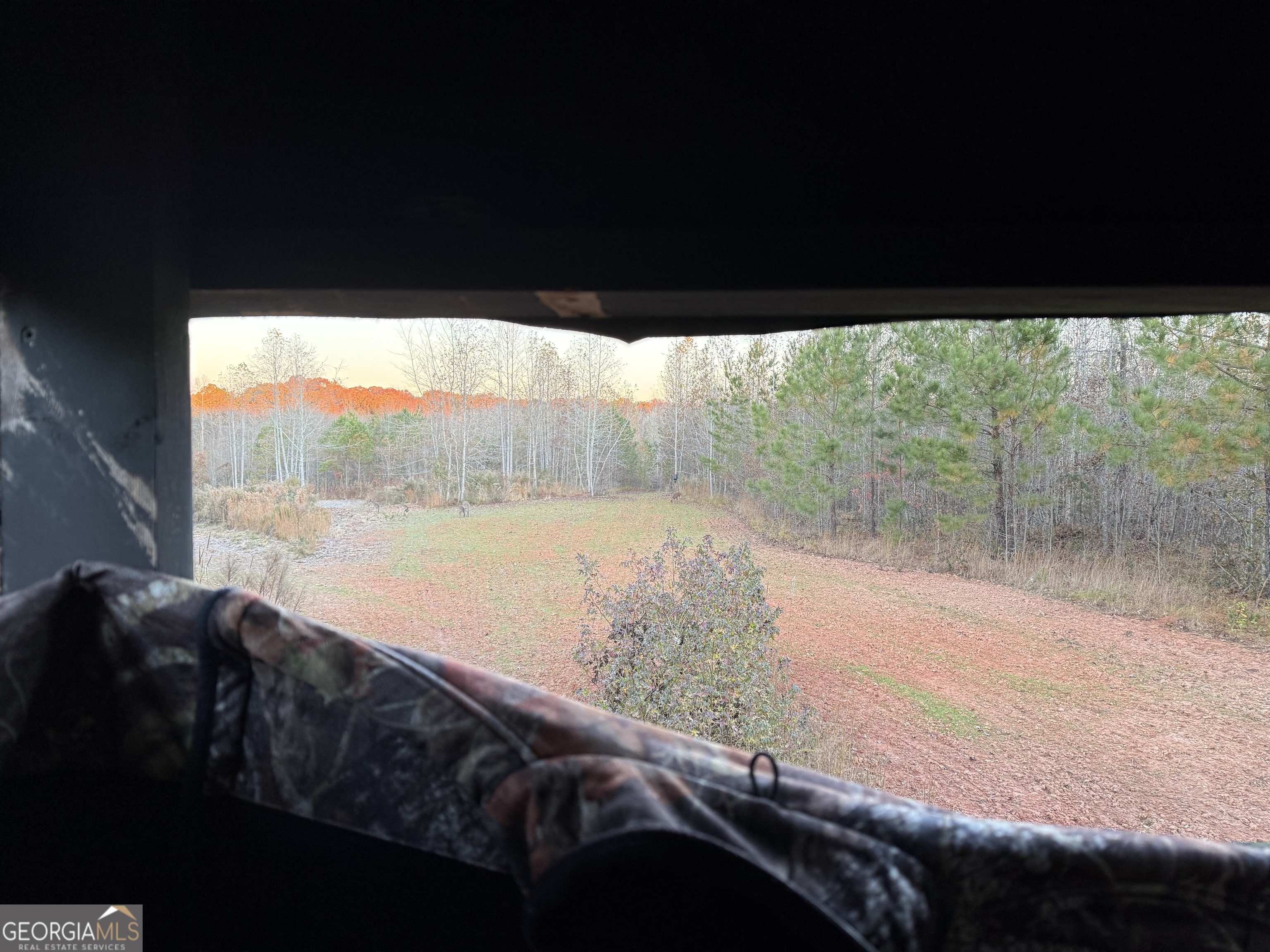 0 Thaxton Road Rayle GA 30660