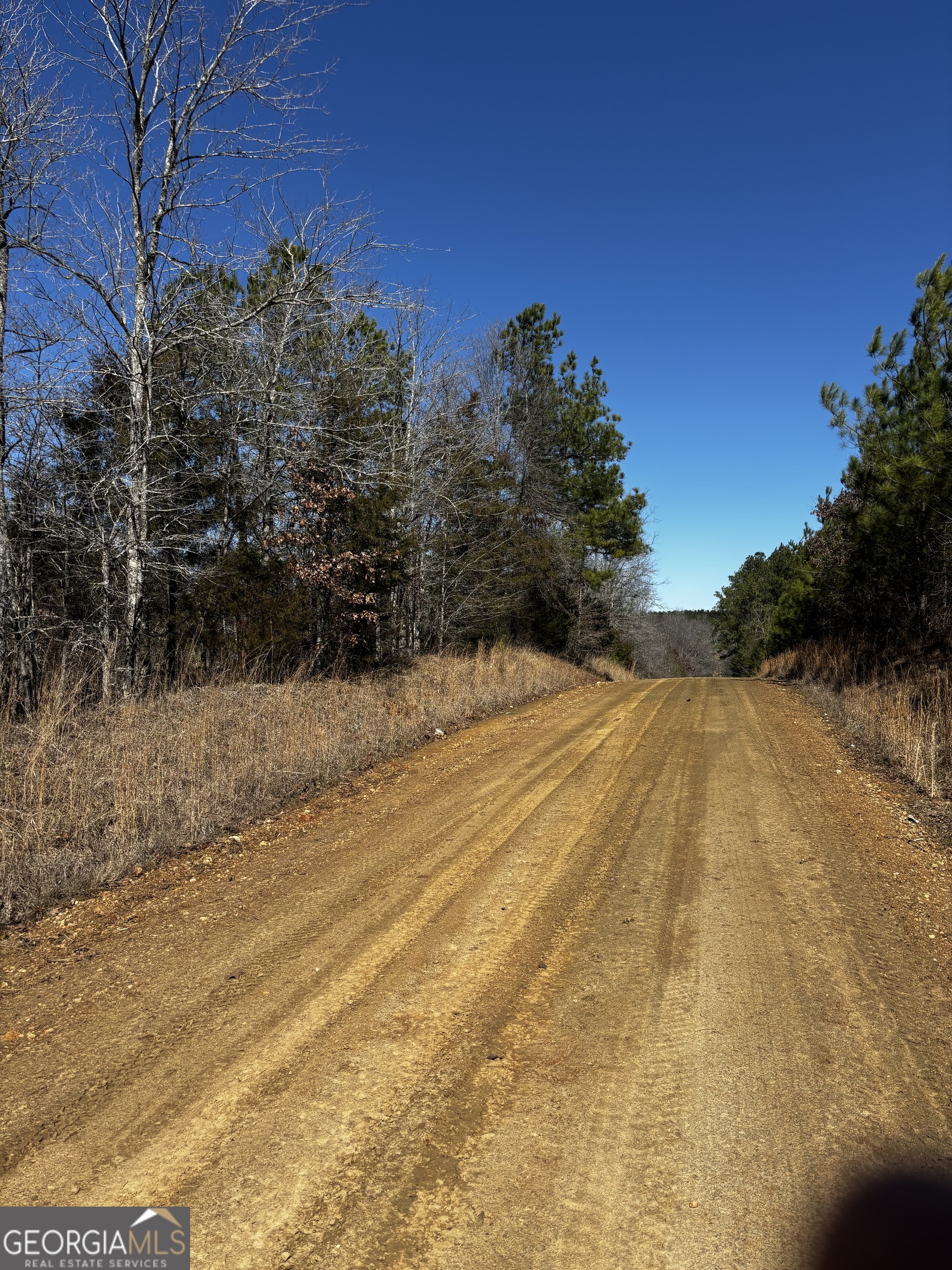 0 Thaxton Road Rayle GA 30660