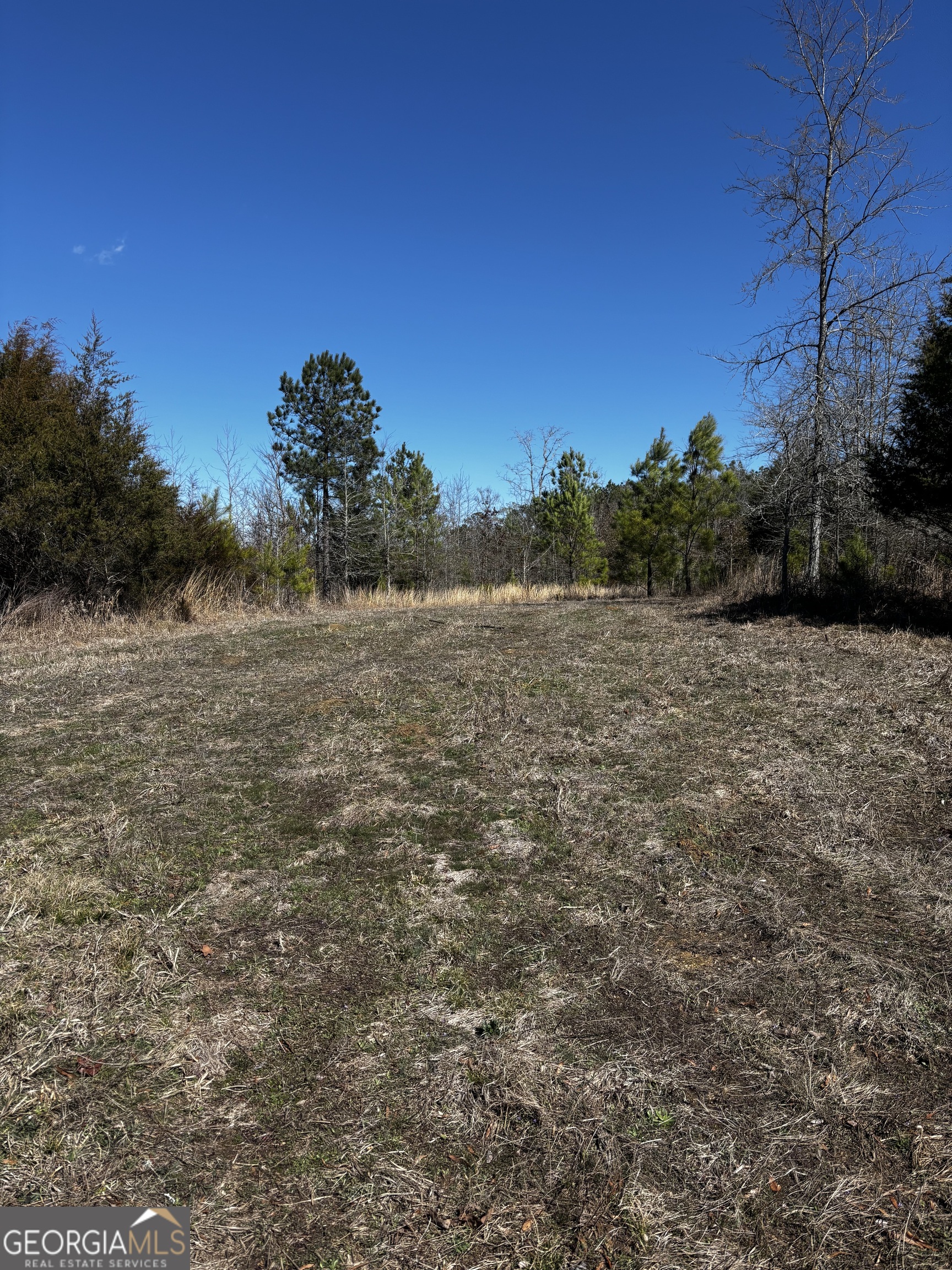 0 Thaxton Road Rayle GA 30660