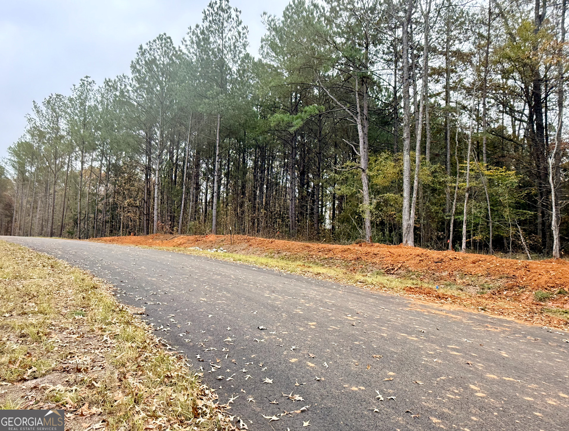 Lot 14 Rolling Meadows Way Waverly Hall GA 31831