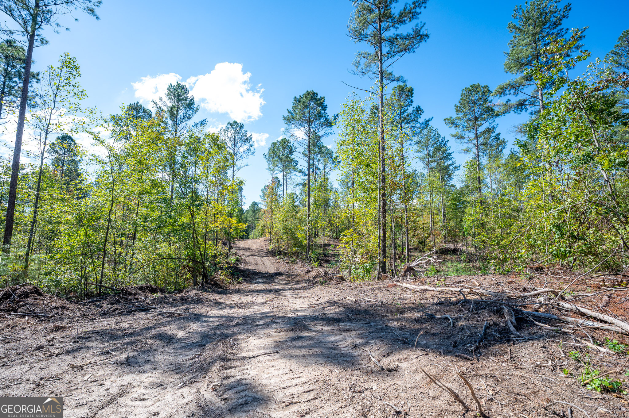 3805 Highway 140 NE Rydal GA 30171
