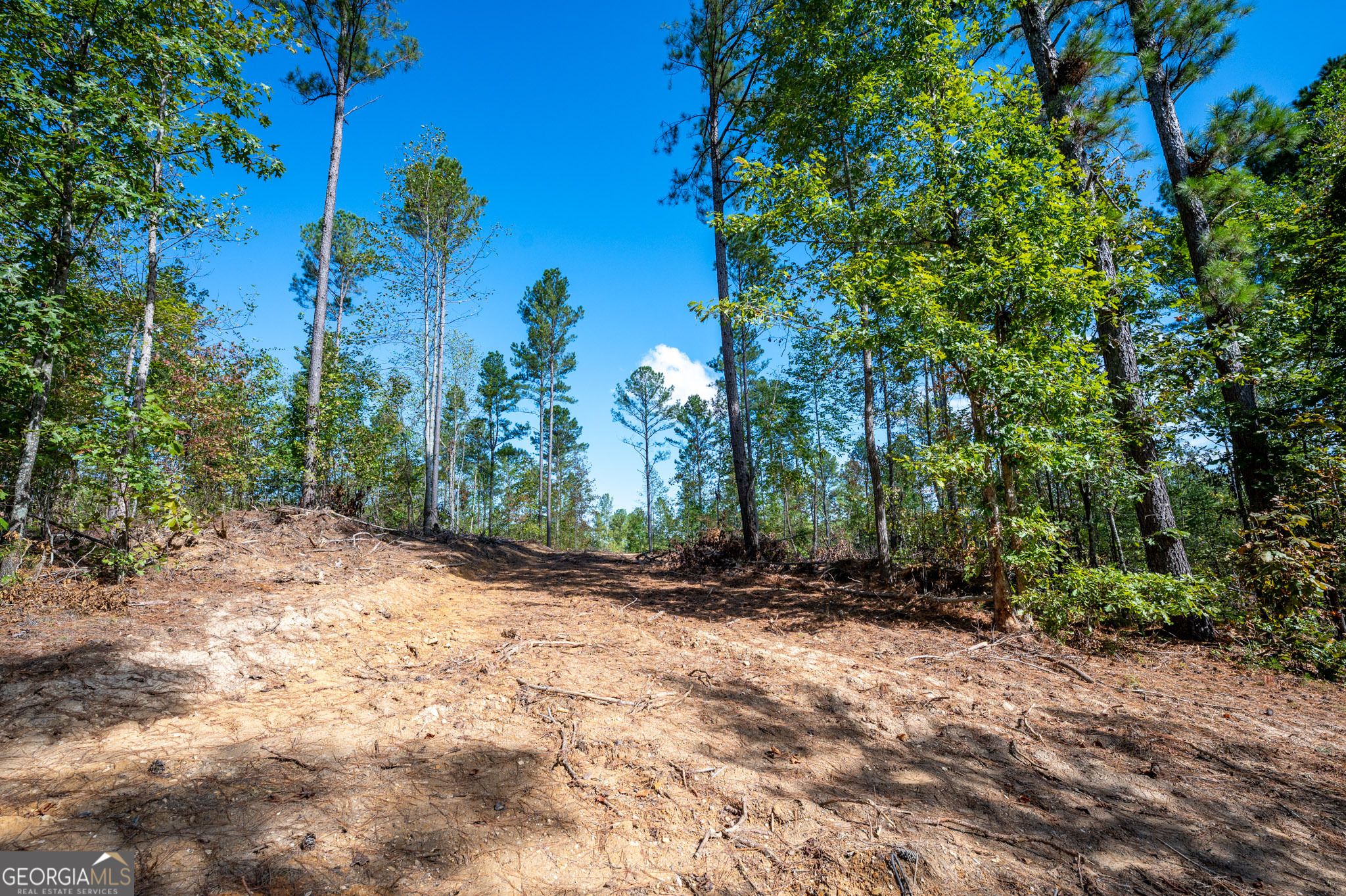 3805 Highway 140 NE Rydal GA 30171
