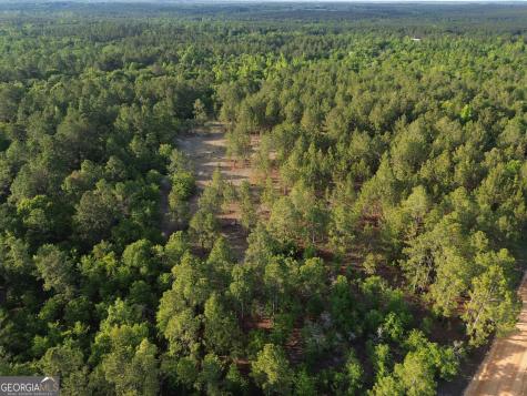 3570 William Dennis Road Cadwell GA 31009