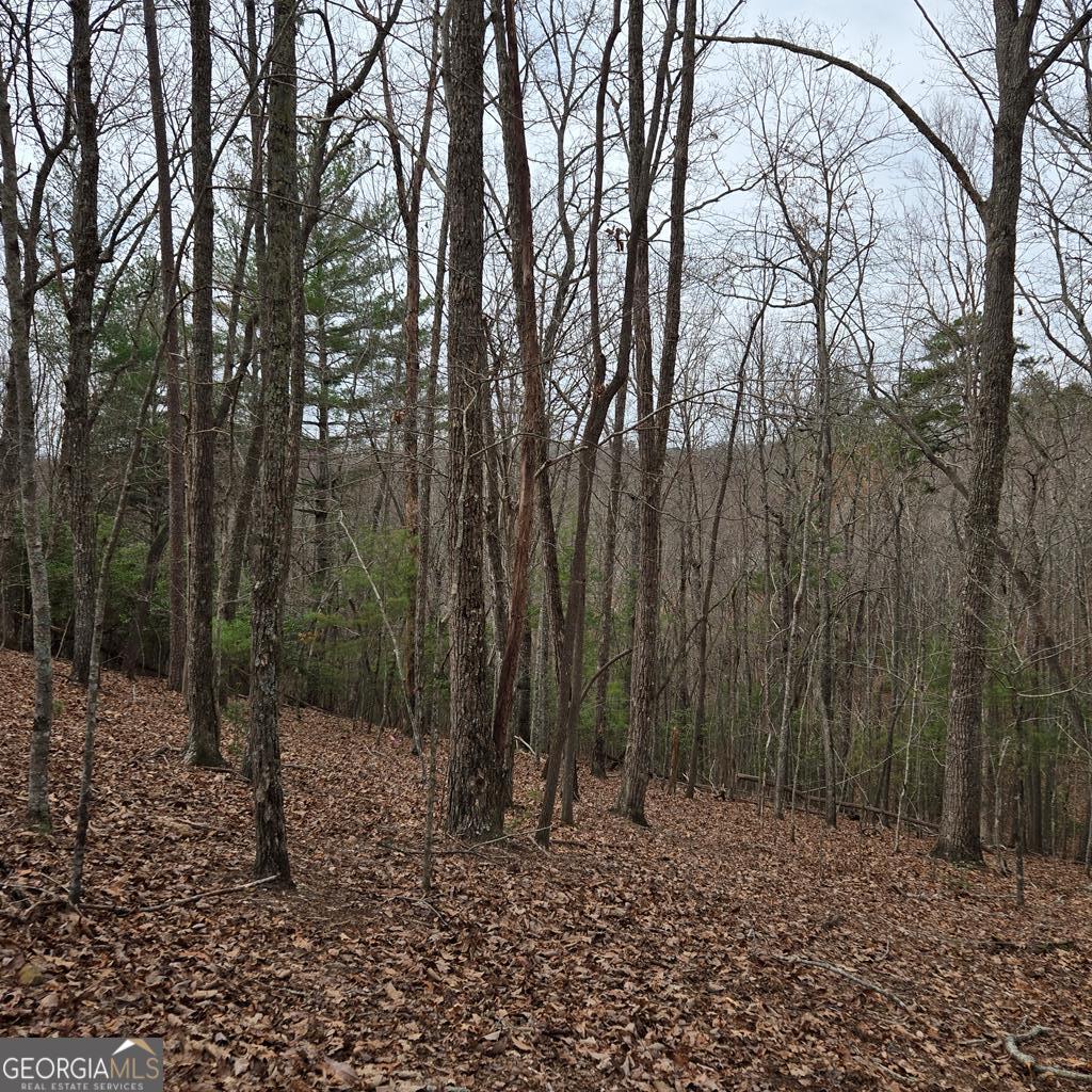 8.5 Blue Berry Ridge Morganton GA 30560