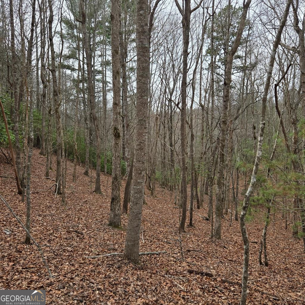 8.5 Blue Berry Ridge Morganton GA 30560