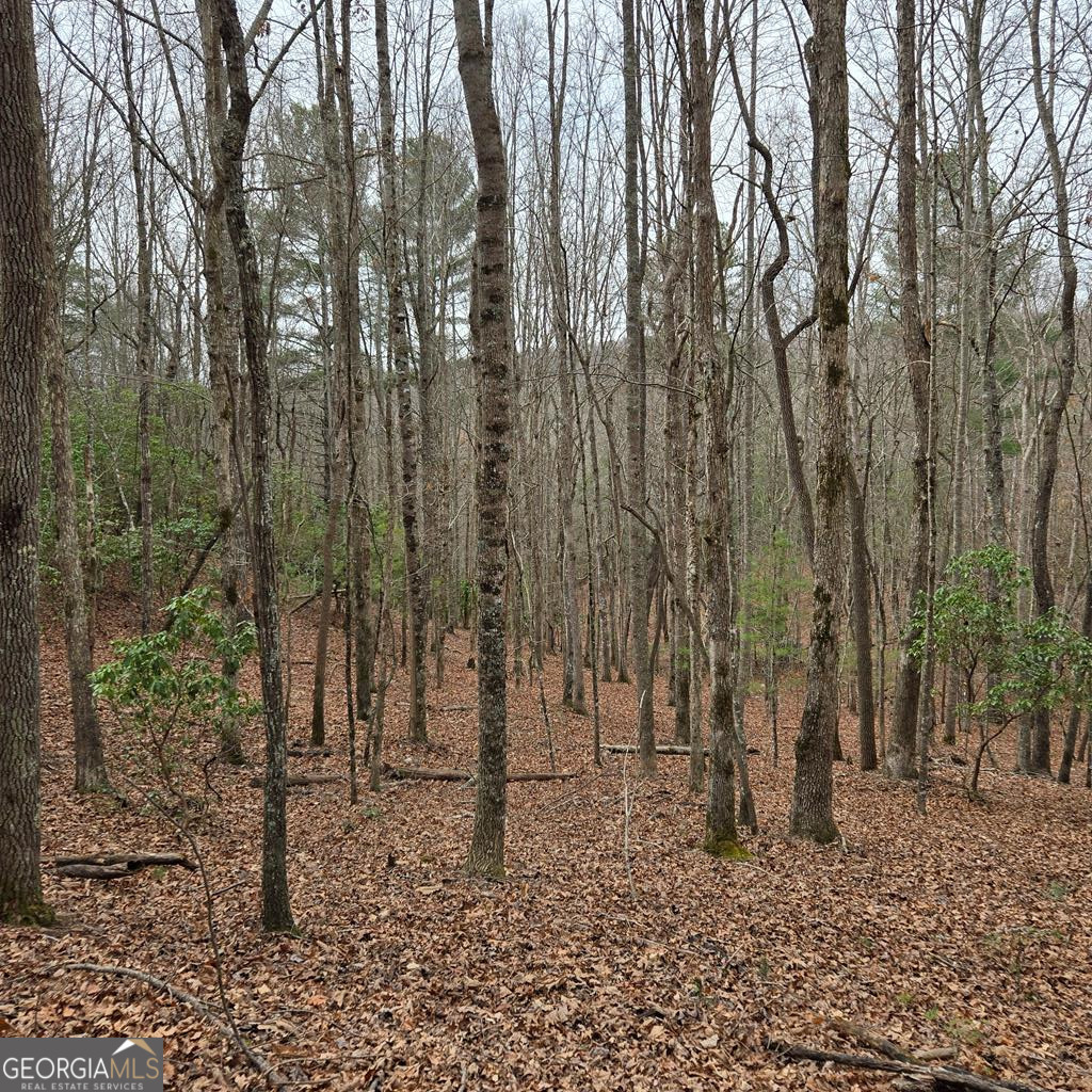 8.5 Blue Berry Ridge Morganton GA 30560