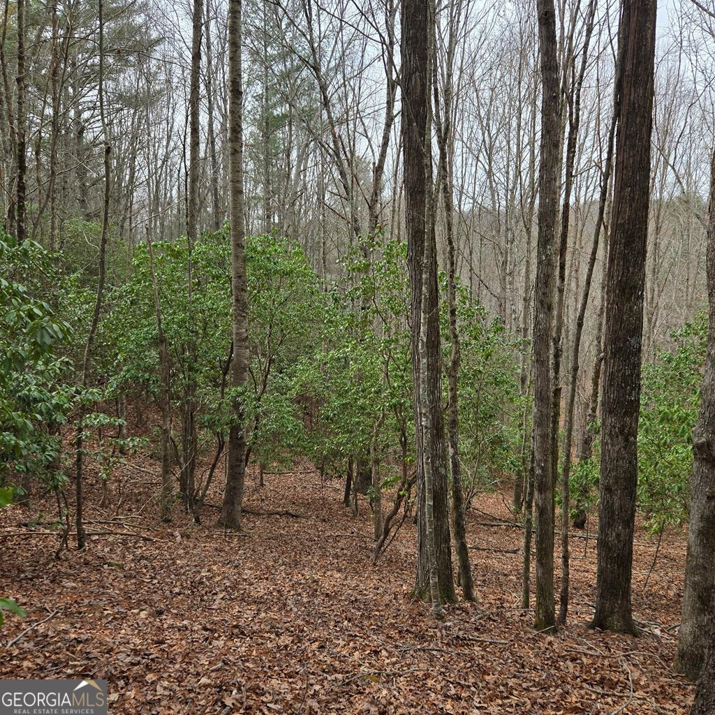 8.5 Blue Berry Ridge Morganton GA 30560