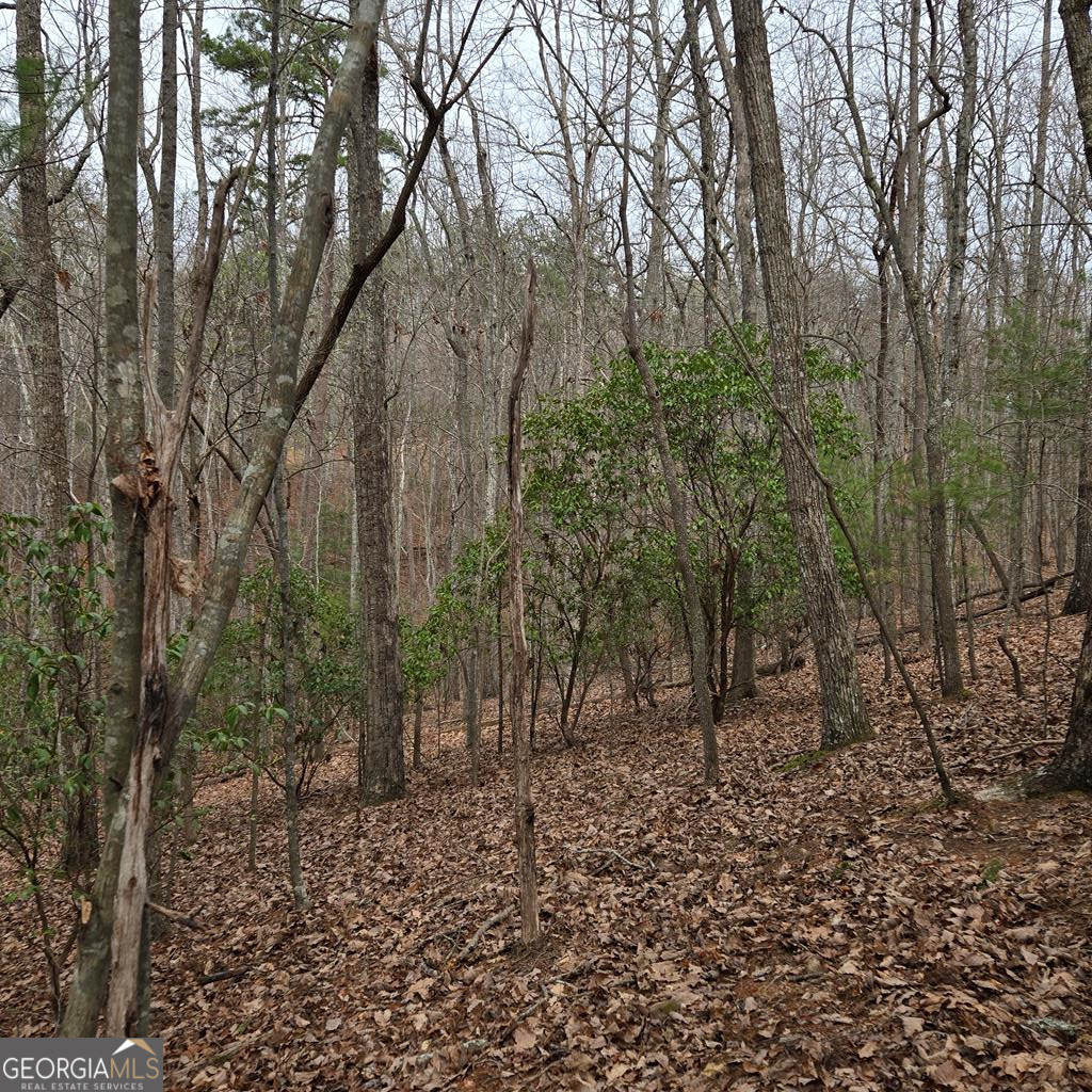 8.5 Blue Berry Ridge Morganton GA 30560