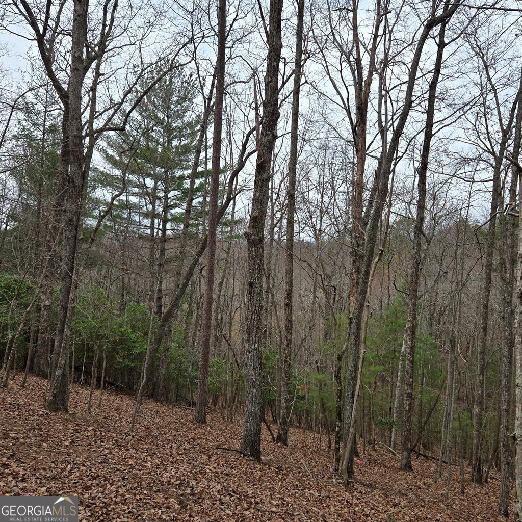 8.5 Blue Berry Ridge Morganton GA 30560