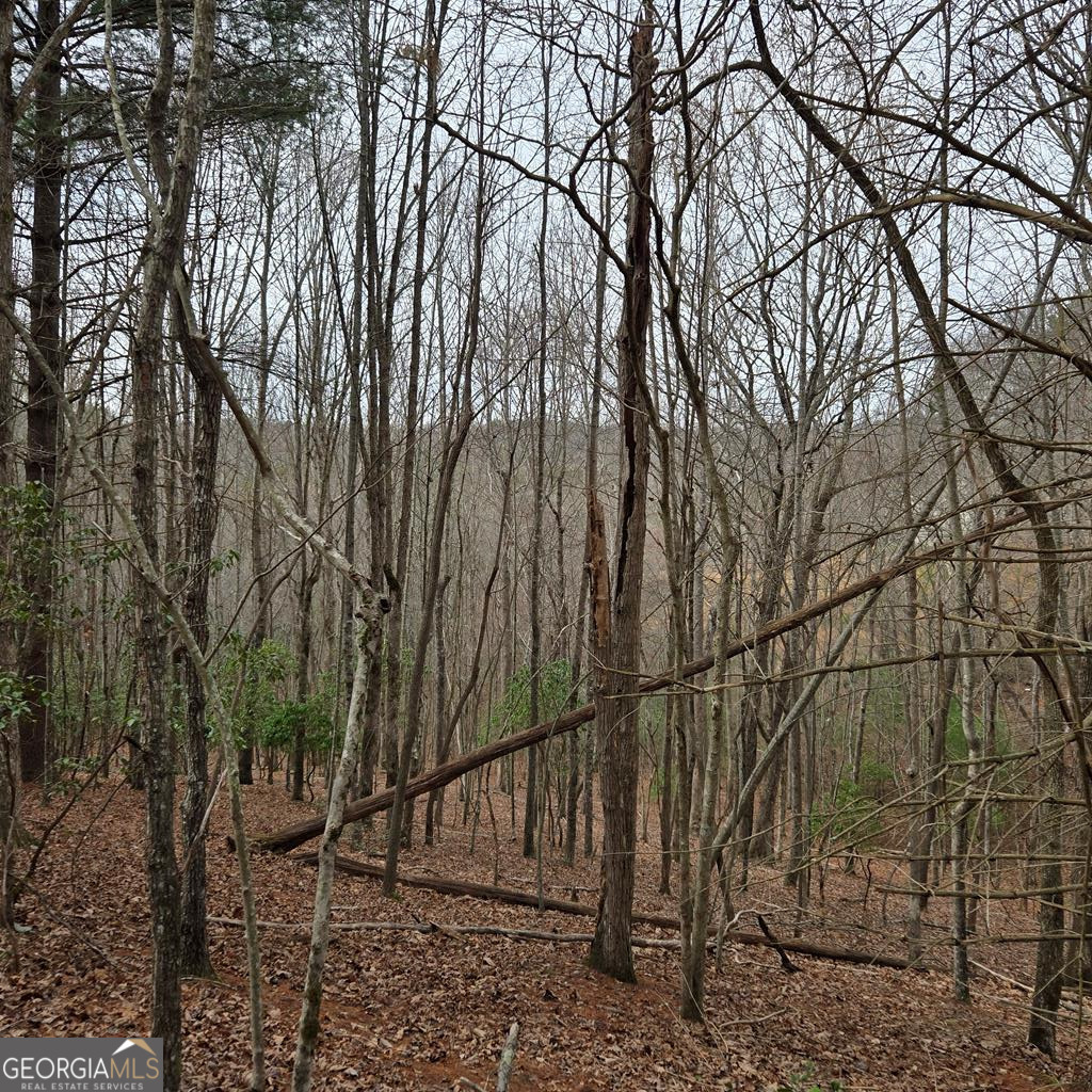 8.5 Blue Berry Ridge Morganton GA 30560