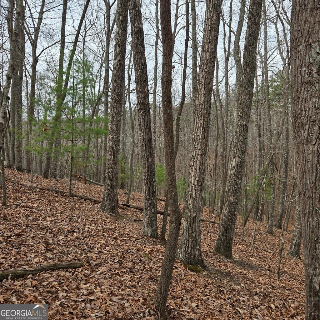 8.5 Blue Berry Ridge Morganton GA 30560