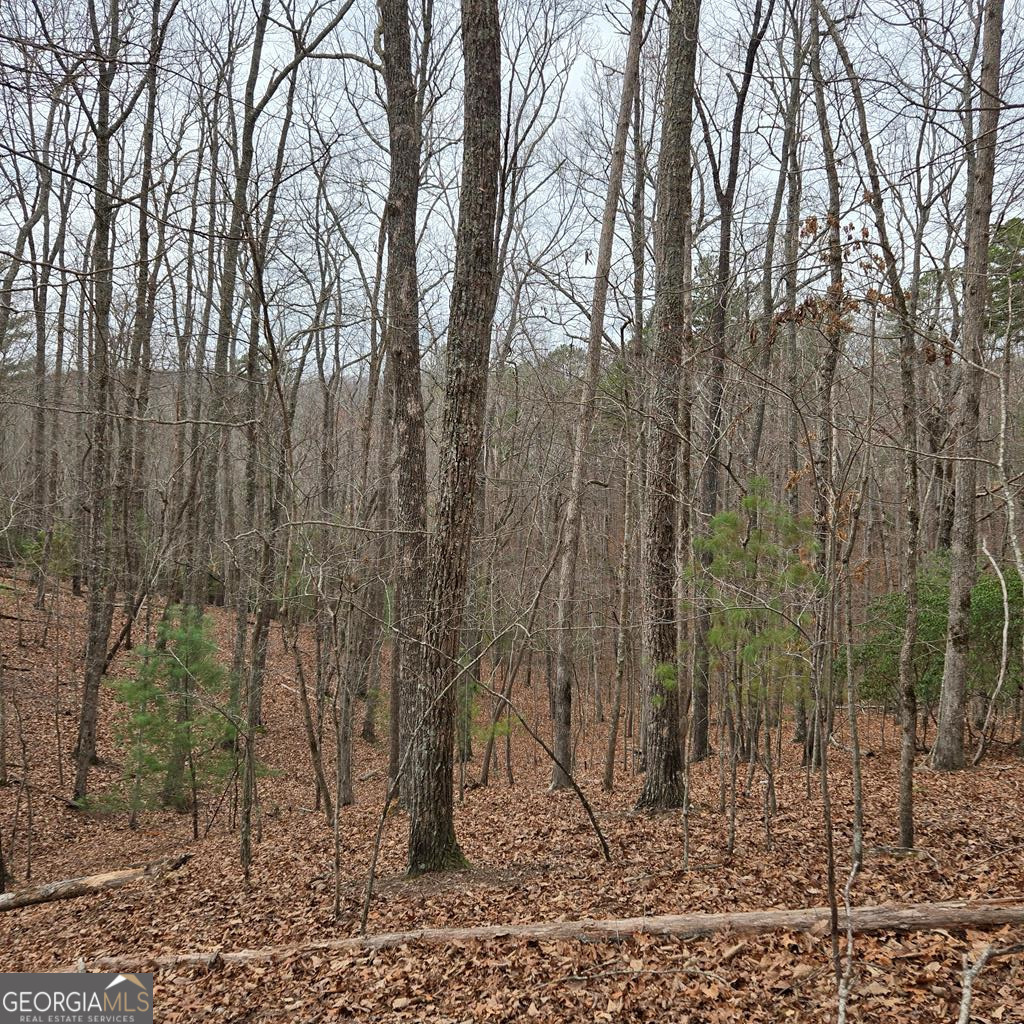 8.5 Blue Berry Ridge Morganton GA 30560