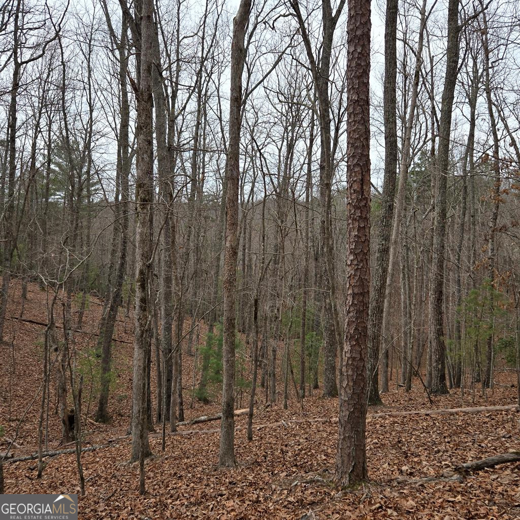 8.5 Blue Berry Ridge Morganton GA 30560