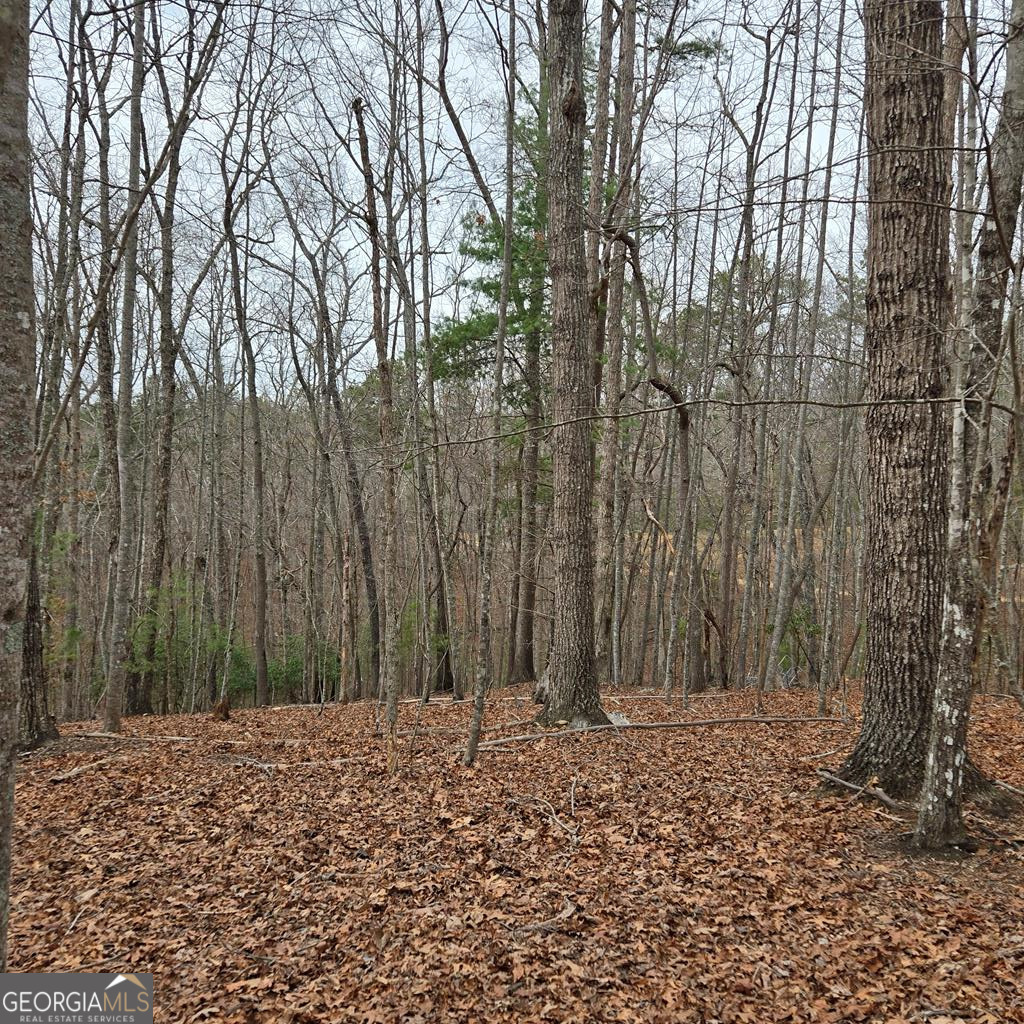 8.5 Blue Berry Ridge Morganton GA 30560
