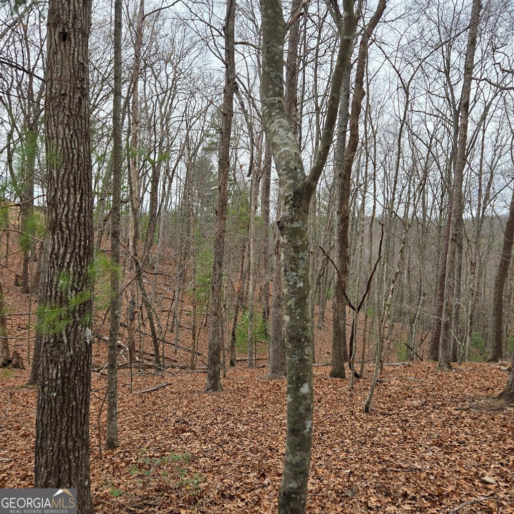 8.5 Blue Berry Ridge Morganton GA 30560
