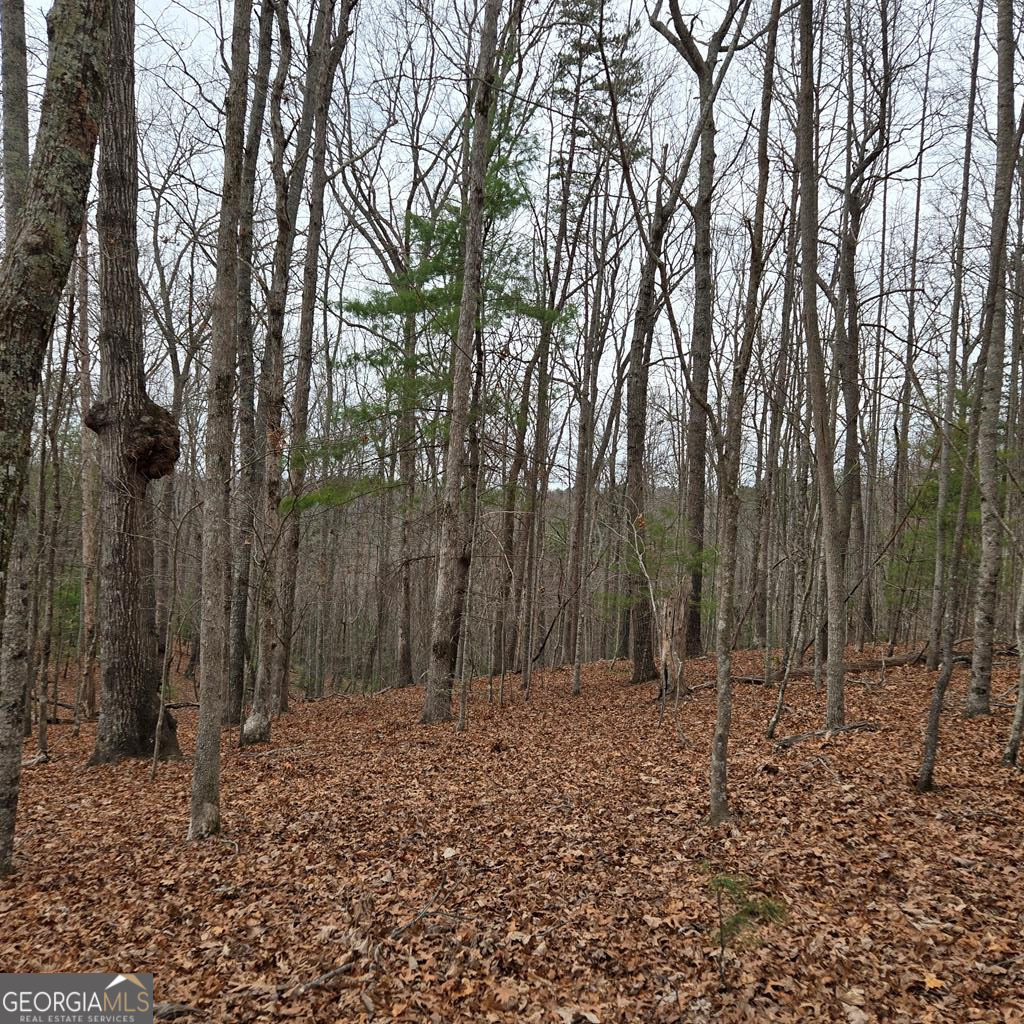 8.5 Blue Berry Ridge Morganton GA 30560