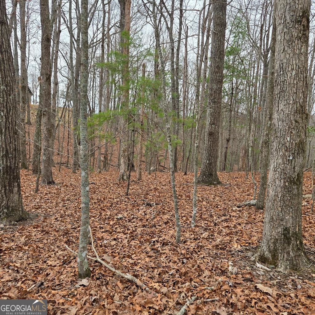 8.5 Blue Berry Ridge Morganton GA 30560