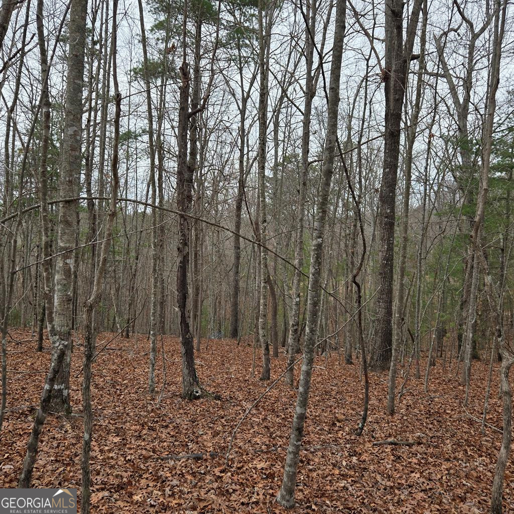 8.5 Blue Berry Ridge Morganton GA 30560