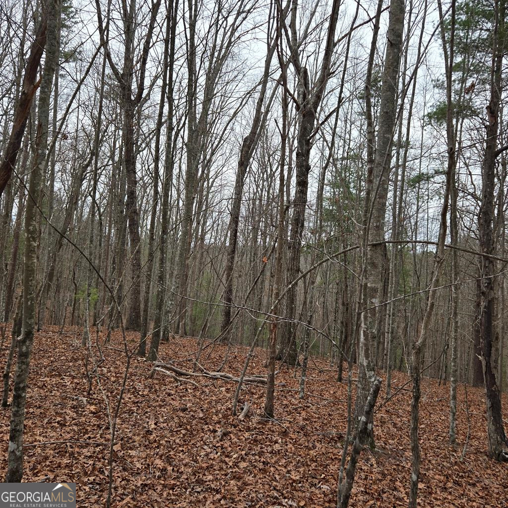 8.5 Blue Berry Ridge Morganton GA 30560