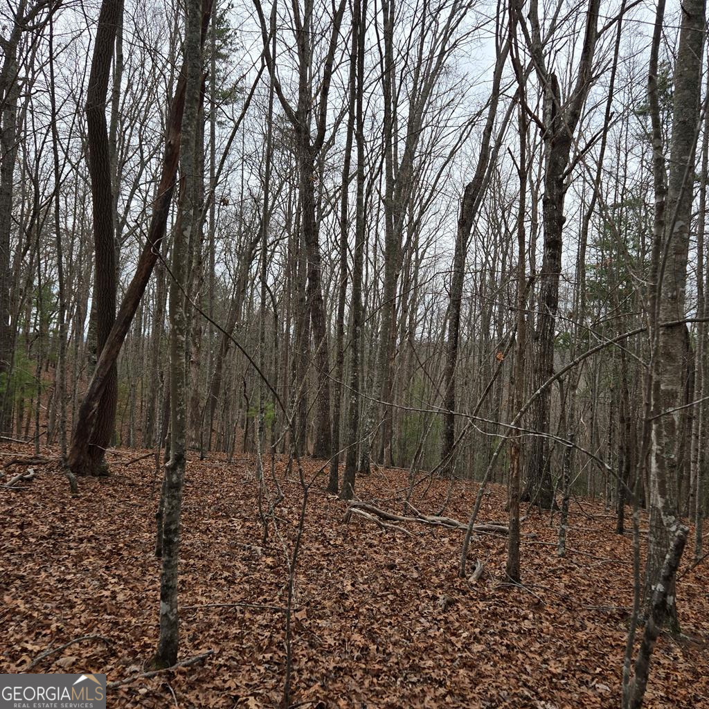 8.5 Blue Berry Ridge Morganton GA 30560