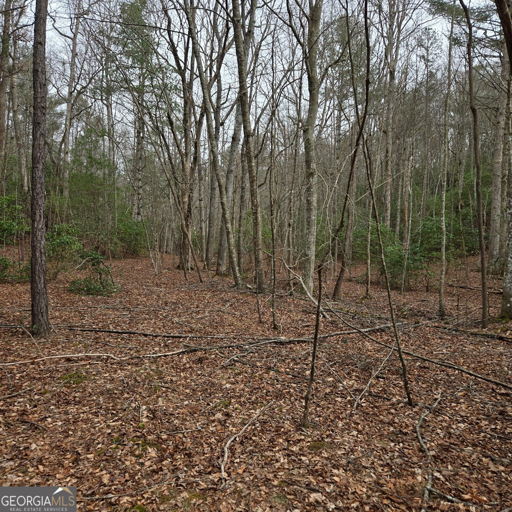 8.5 Blue Berry Ridge Morganton GA 30560