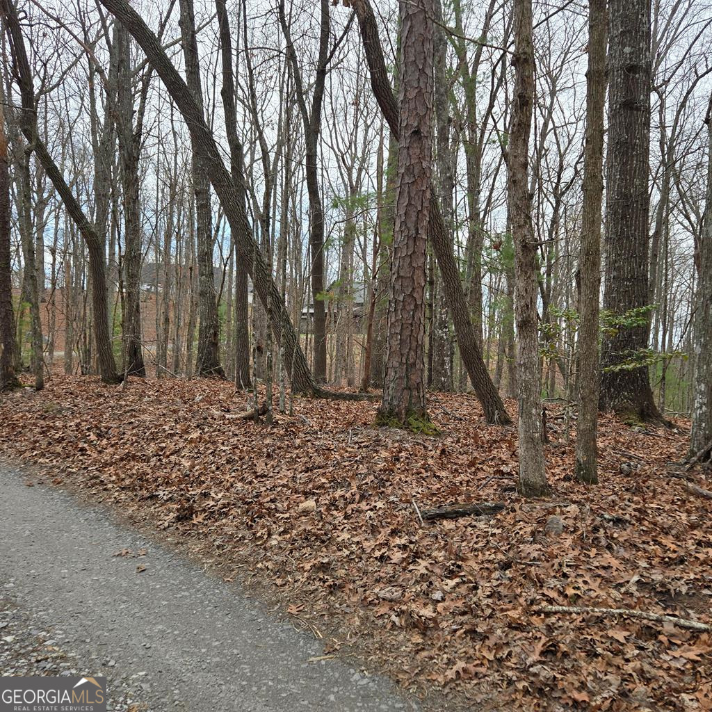 8.5 Blue Berry Ridge Morganton GA 30560