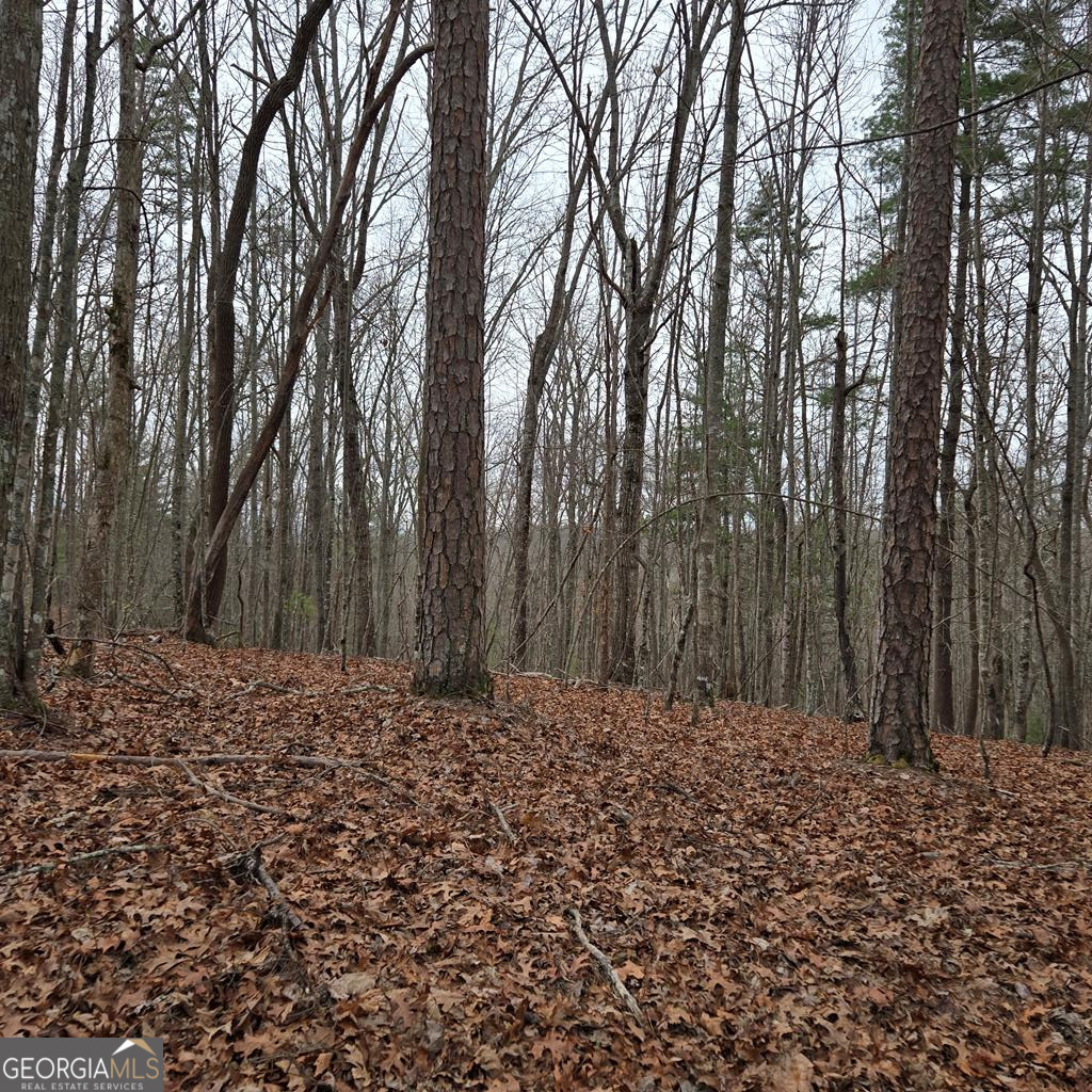 8.5 Blue Berry Ridge Morganton GA 30560