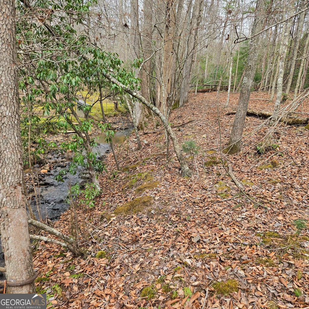 8.5 Blue Berry Ridge Morganton GA 30560
