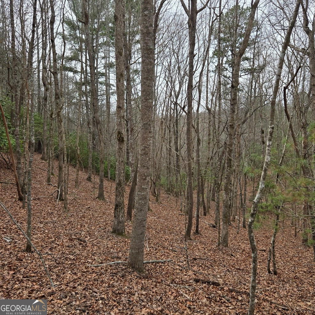 8.5 Blue Berry Ridge Morganton GA 30560