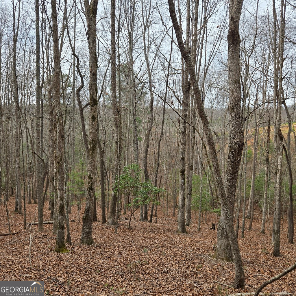 8.5 Blue Berry Ridge Morganton GA 30560