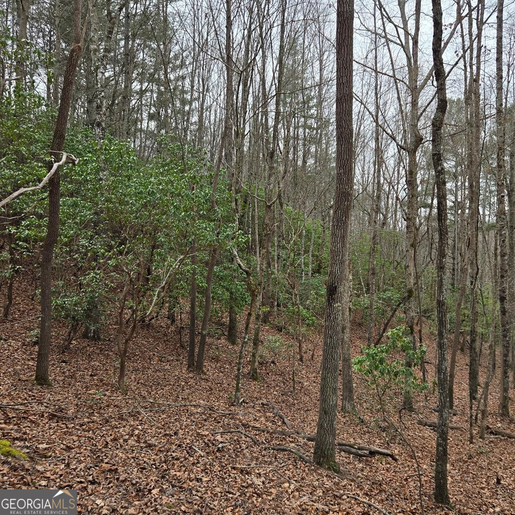 8.5 Blue Berry Ridge Morganton GA 30560