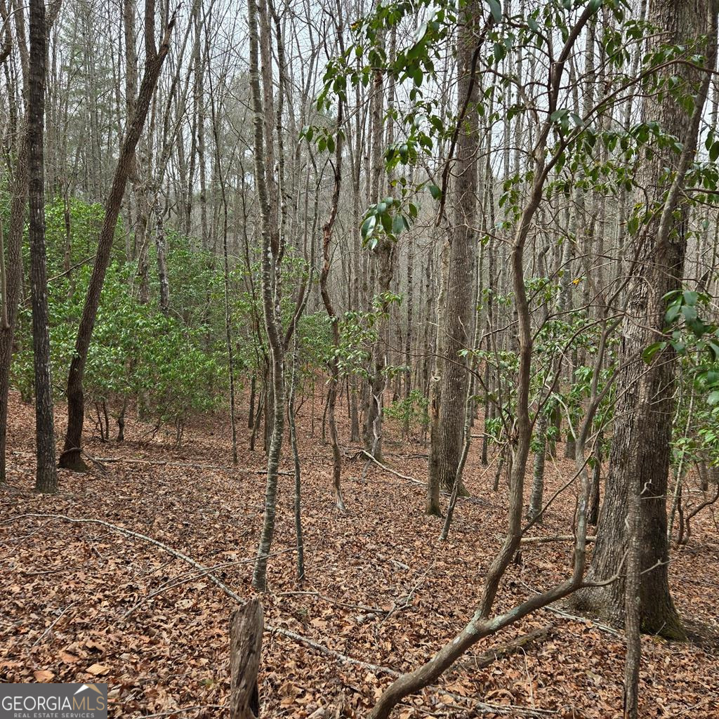 8.5 Blue Berry Ridge Morganton GA 30560
