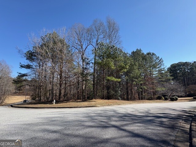 4440 Bronte Lane Douglasville GA 30135