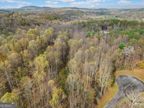 Lot 14 Highpoint Ridge Court Ellijay GA 30536