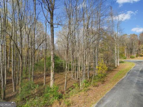 Lot 14 Highpoint Ridge Court Ellijay GA 30536