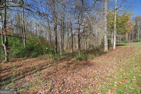 Lot 14 Highpoint Ridge Court Ellijay GA 30536