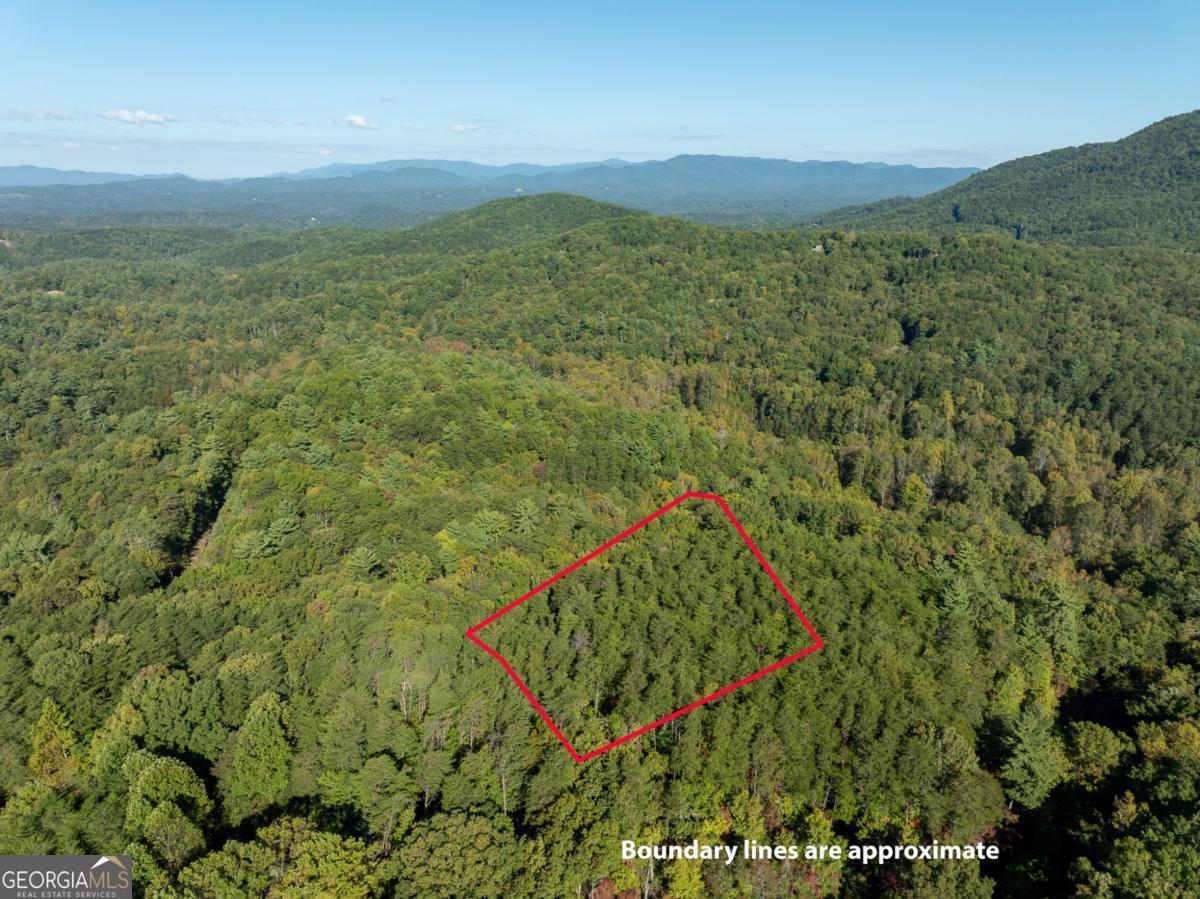 Tract 1 Turniptown Road Ellijay GA 30536