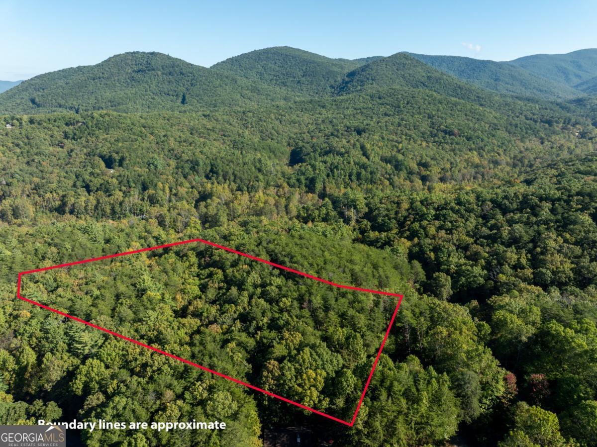 Tract 1 Turniptown Road Ellijay GA 30536