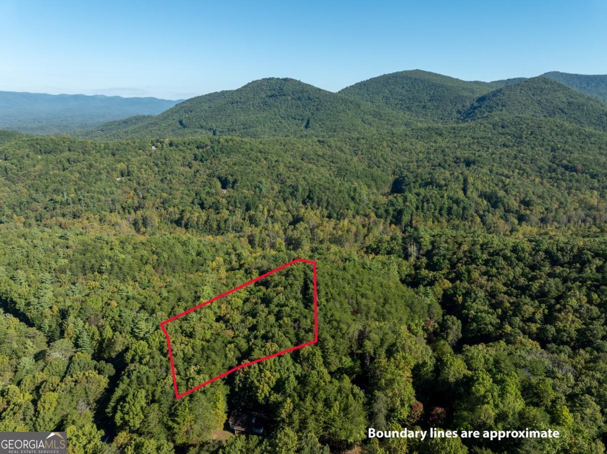 Tract 1 Turniptown Road Ellijay GA 30536