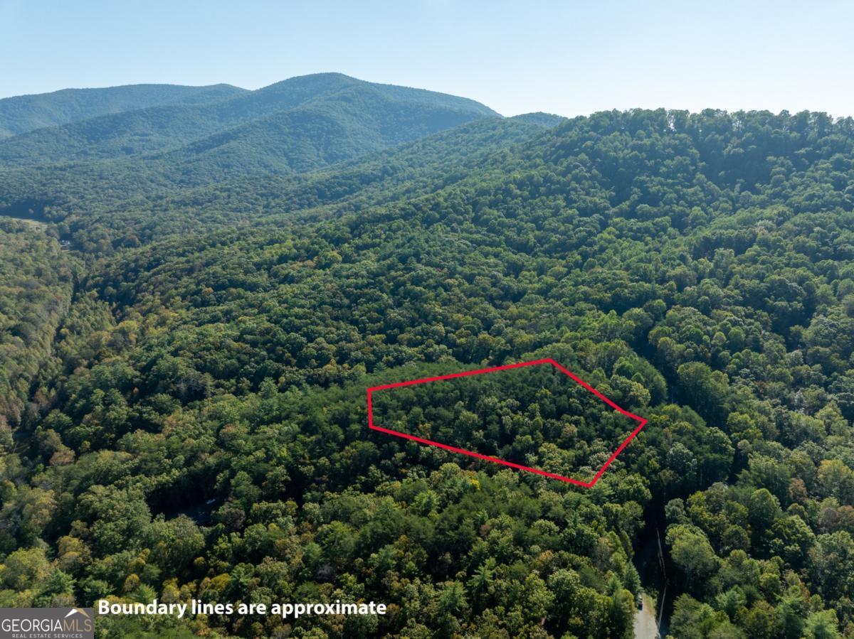Tract 1 Turniptown Road Ellijay GA 30536